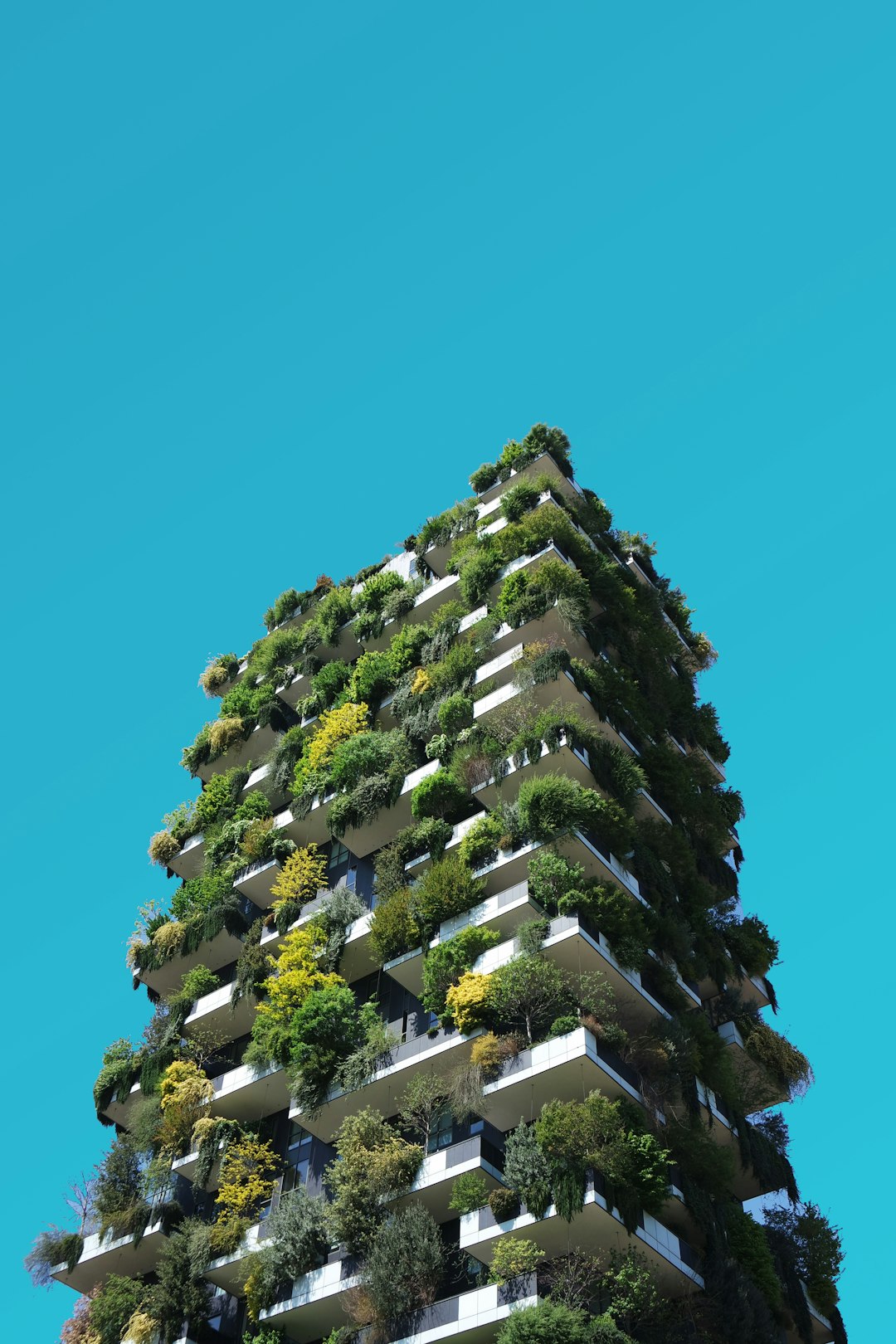 Eco-Friendly Family Home