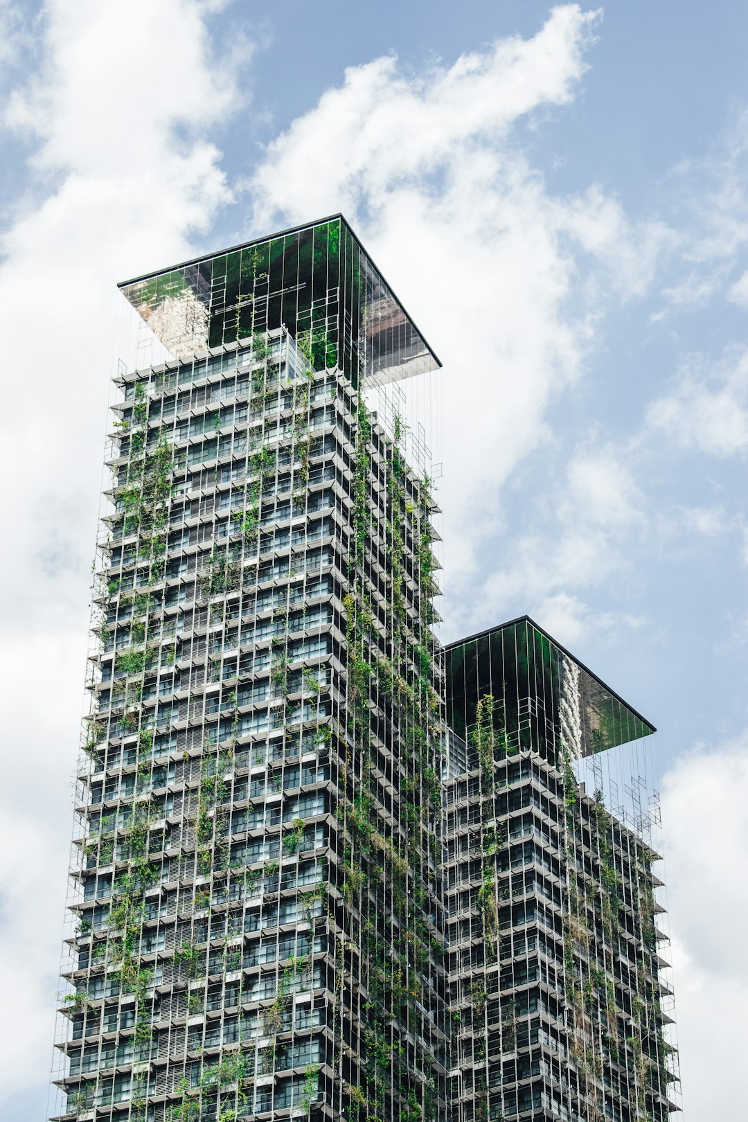 EcoVision Home